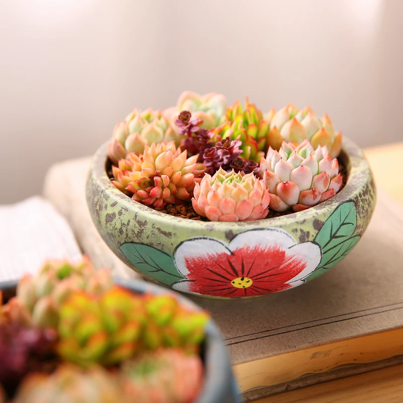 MuMuHome Multi Meat Plant Flower Basin Retro Rough Pottery Mulberry Flower Basket Ceramic Mulberry Flower Basket