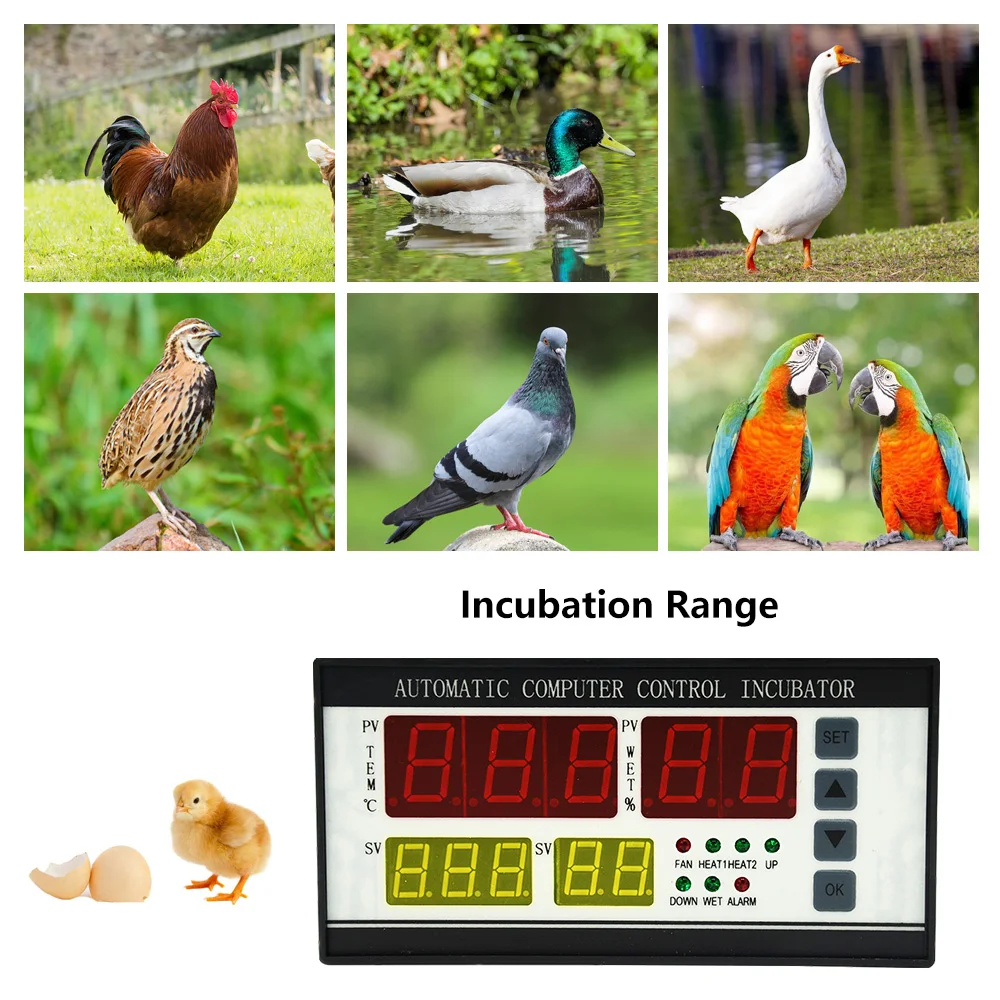 XM 18 Controller Incubator,Fully Intelligent,Temperature Humidity Sensor,Controller,Duck Egg,Home,Industry Hatching Egg xm18