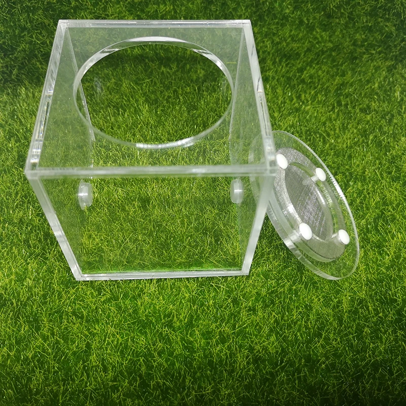 Square Ant Nest Transparent Activity Area Acrylic Ant Farm Climbing Pet Feeding Box 7x7x7 cm