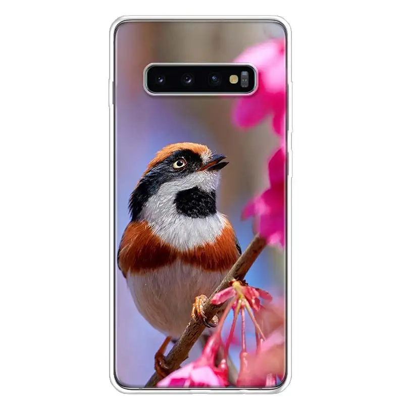 Magpie bird Phone Case For Samsung Galaxy S24 S23 S22 Ultra S21 S20 Fe S10 Plus S10E S9 S8 + Shell Coque