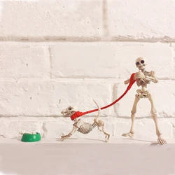 Mini Pose Skeleton Doll/Dog Joints Moveable Action Figure Collection Halloween Dollhouse Model Decorations Set for Friends