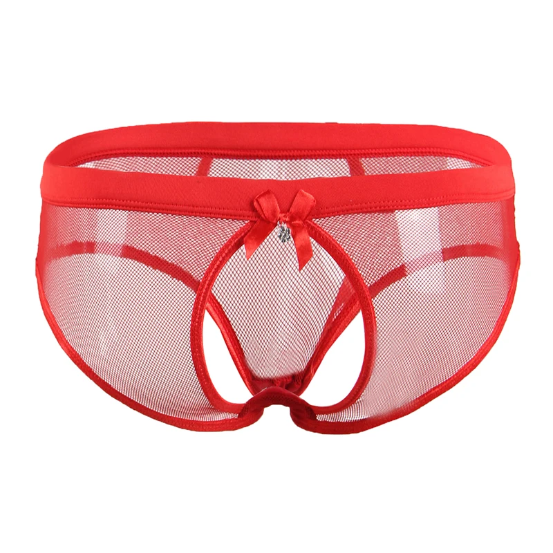 Plus Size Sexy Brief Hollow Out Underwear Open Back Panty Women Lingerie Crotchless See Though Fishnet Transparent Panties