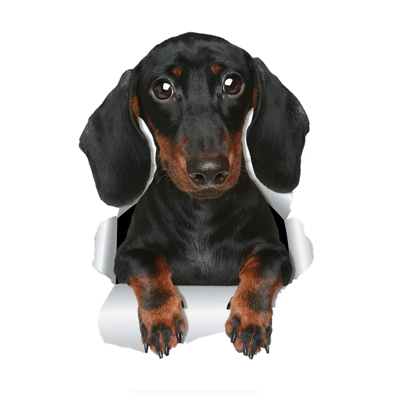 17*10cm 1 Pcs 3D Cute Dachshund Sausage Dog Sticker Car Sticker Decal for Wall Car Toilet Room Luggage Skateboard Laptop