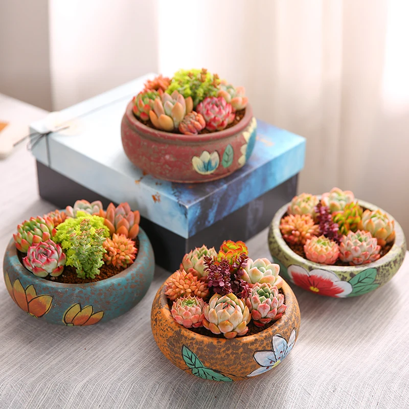 MuMuHome Multi Meat Plant Flower Basin Retro Rough Pottery Mulberry Flower Basket Ceramic Mulberry Flower Basket