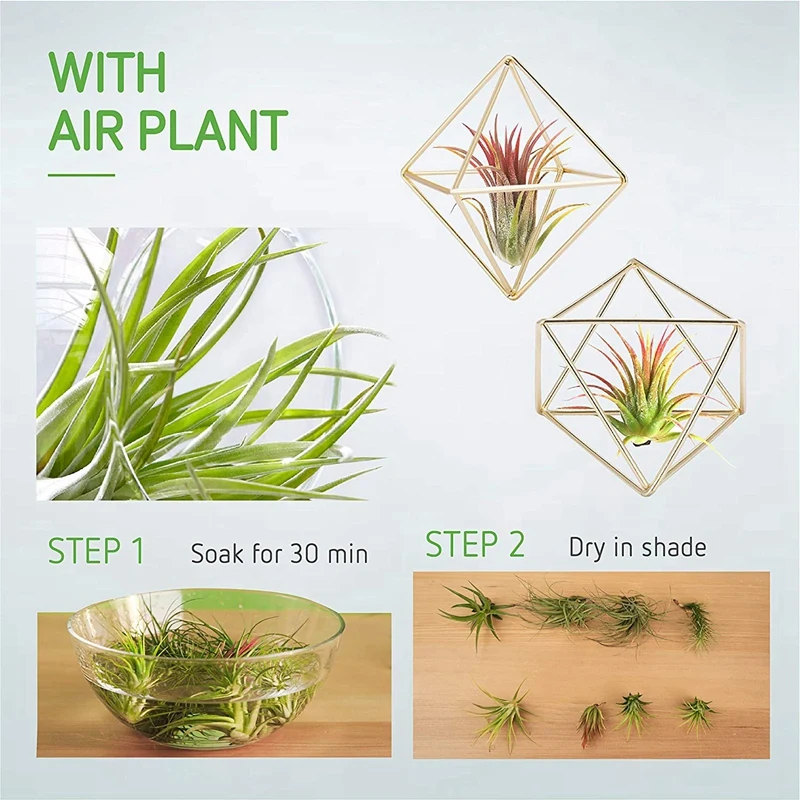 6 Pcs Air Plant Houder Mini Metalen Tafelblad Decor Moderne Geometrische Planter Tillandsia Display Stand Himmeli Decor