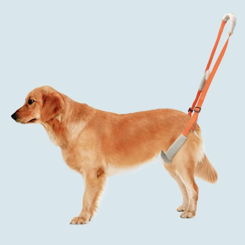 Pet Dog Lift Harness Pet Rear Legs Support Aid Sling For Elderly Dog With Poor Stability, Back Leg Hip Disabled Joint Injury