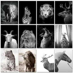 PhotoCustom 60x75cm Paint By Numbers For Adult Animals DIY Oil Painting By Numbers On Canvas Lions Frameless Number Painting