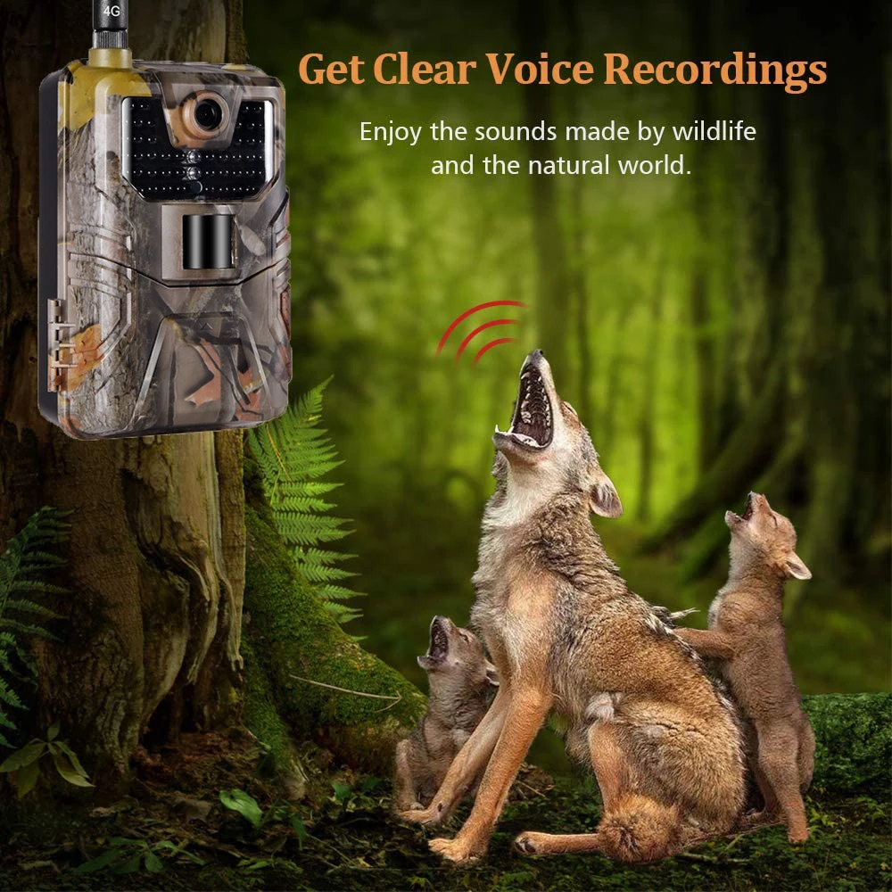 APP Trail Camera 4K Live Broadcast  FREE Cloud Service Hunting Photo Traps  4G 30MP Wildlife Cameras Night Vision HC900PRO