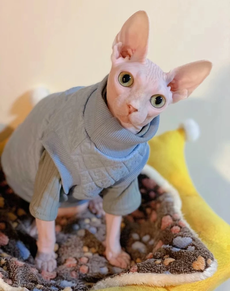 Fashion Sphinx Cat Vest Clothes Winter Kittens Costume Pet Hoodies For Sphynx Small Dog Coat With Love Pattern Autumn Spring