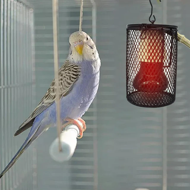 オウムの形をしたハンタートル加熱ランプ,鳥のケージのためのセラミックランプカバー,冬の家庭用品 - AliExpress