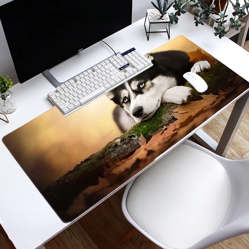 

Large Size(300x600mm/400x900mm ) Animal Design Gaming Mousepad,Non Slip Mouse Pad For Gamer