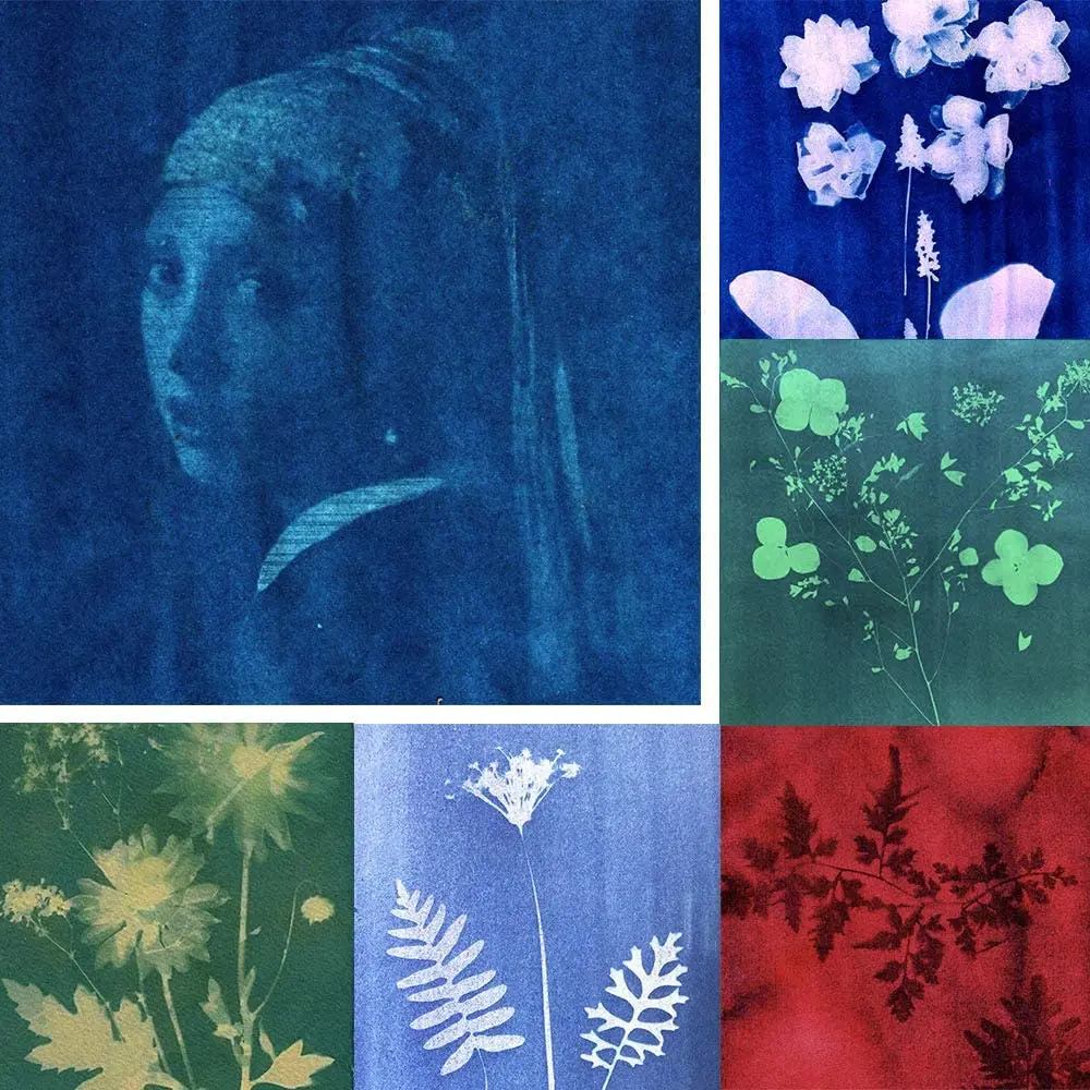 A4 Sun/Solar Activated Mixed Colors SunCreations Cyanotype Paper High Sensitivity Sunprint Nature Printing Paper 24pcs