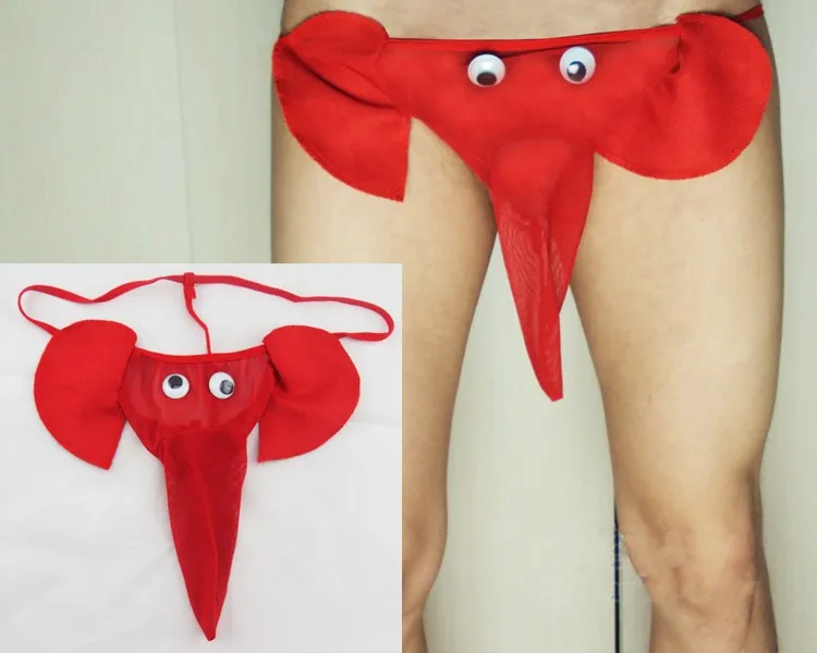 Men Underwear Sexy Elephant Bulge Pouch Mens Elastic T Back Lingerie Thong Erotic Underwear Sexy Penis Pouch Panties Men Briefs