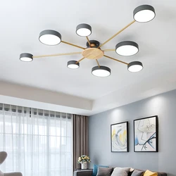 Nordic Modern Minimalist Ceiling Lamp Bedroom Living Room Dining Room Personality Macaron Room Solid Wood Led Ceiling Lamp