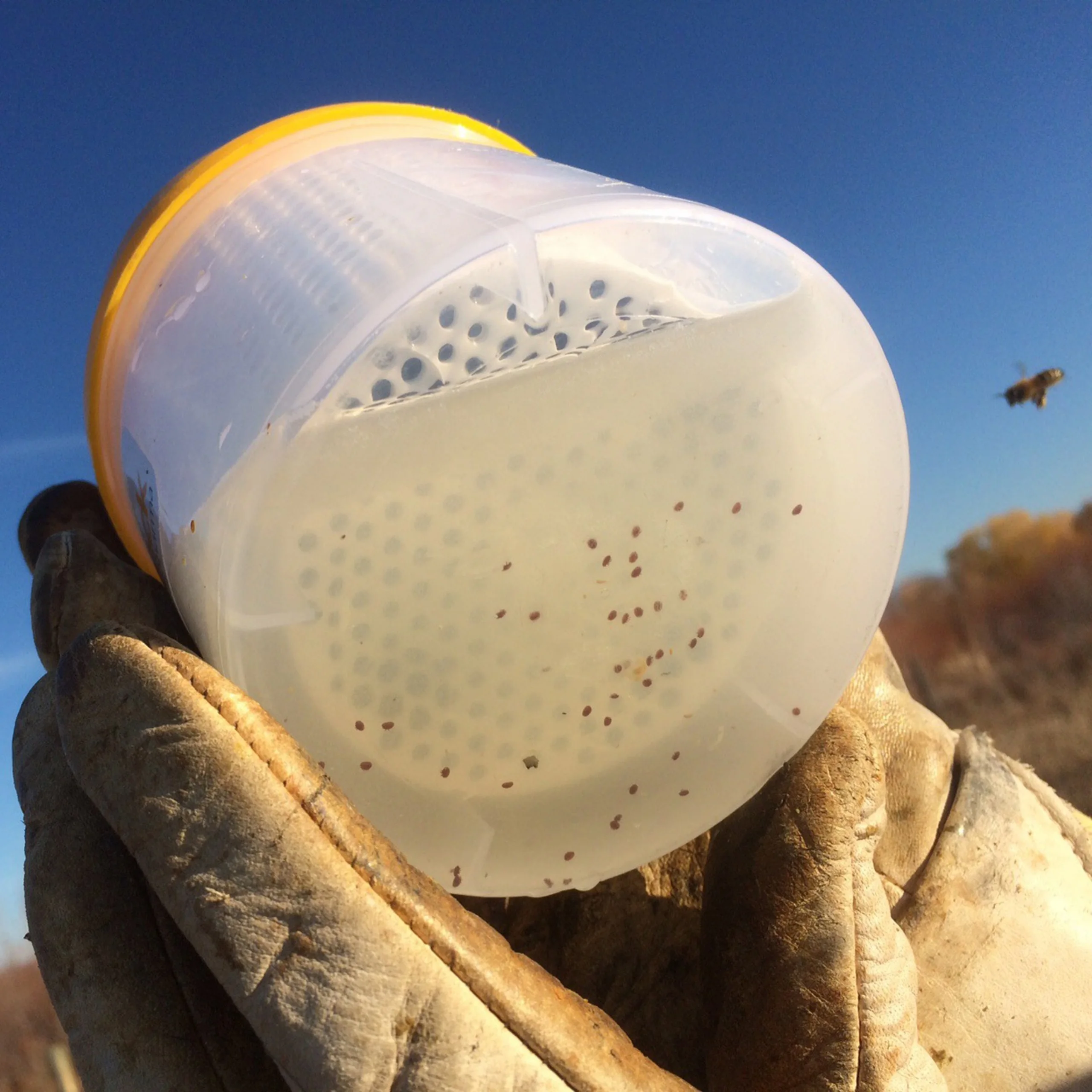 Beehive Varroa Test Varroa Shaker Comfortable To Use for Beekeeping Beekeeper Mite Measuring Beekeeper Tool