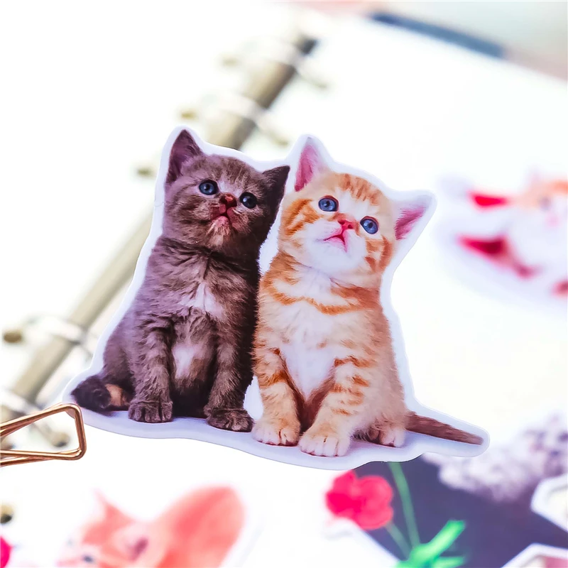 Pegatinas de gato de dibujos animados kawaii para álbum de recortes, pegatinas decorativas, álbumes de fotos artesanales, 21 Uds.