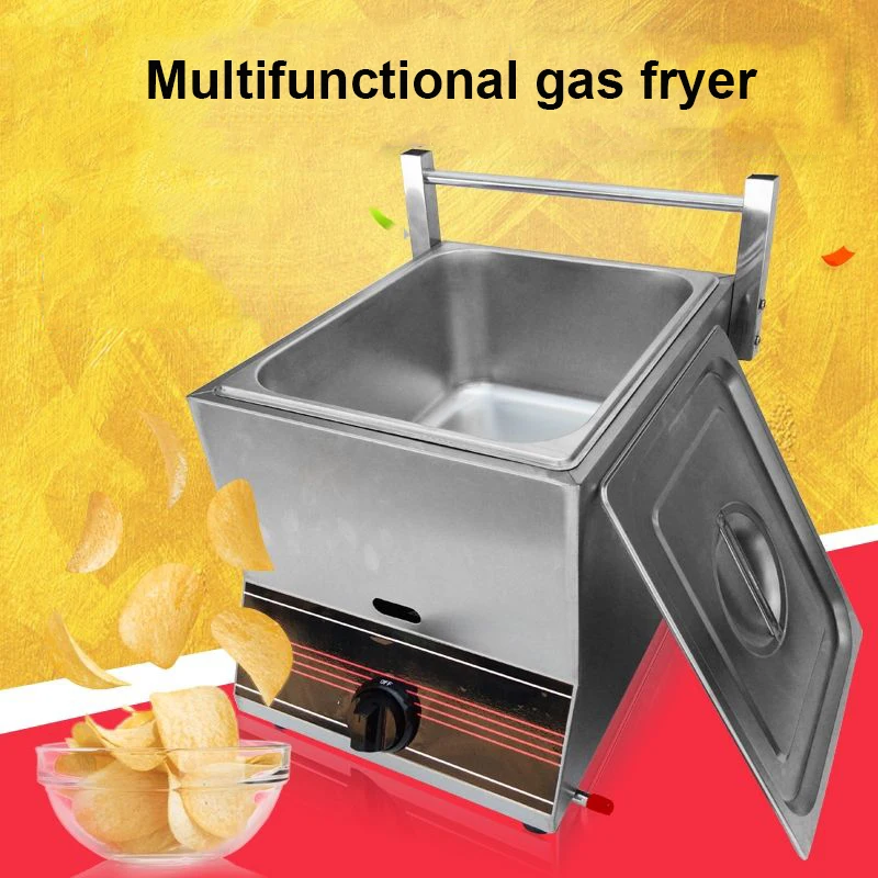 Commercial Gas Deep Fryer Double Gas Fryer Two Tanks Noodles Cooker Steamer Energy Saving Fryer Kitchen French Fries Machine