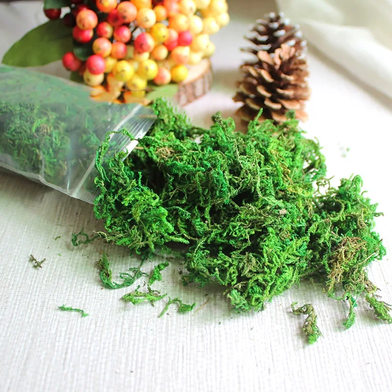 1 Pack Artificial Moss Lichen Simulation Fake Green Plants For Home Garden Patio Decoration Artificial Plant Moss 20g/50g/100g