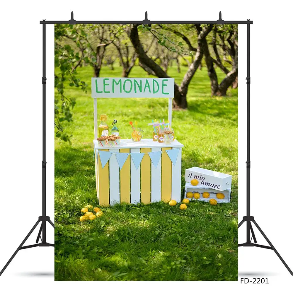 Lemonade-خلفية أشعة الشمس لحفلات استقبال المولود الجديد ، وخلفية التصوير الفوتوغرافي للصور ، وإكسسوارات الاستوديو