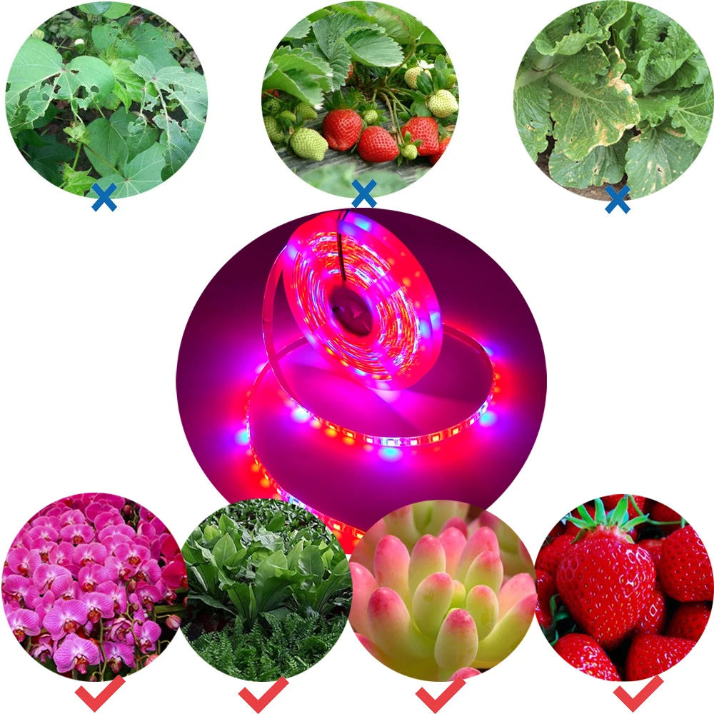 20M LED Grow Light Spectrum DC12V USB Grow Light Strip LED Phyto Lamp For Plants Greenhouse Hydroponic Growing power supply Full