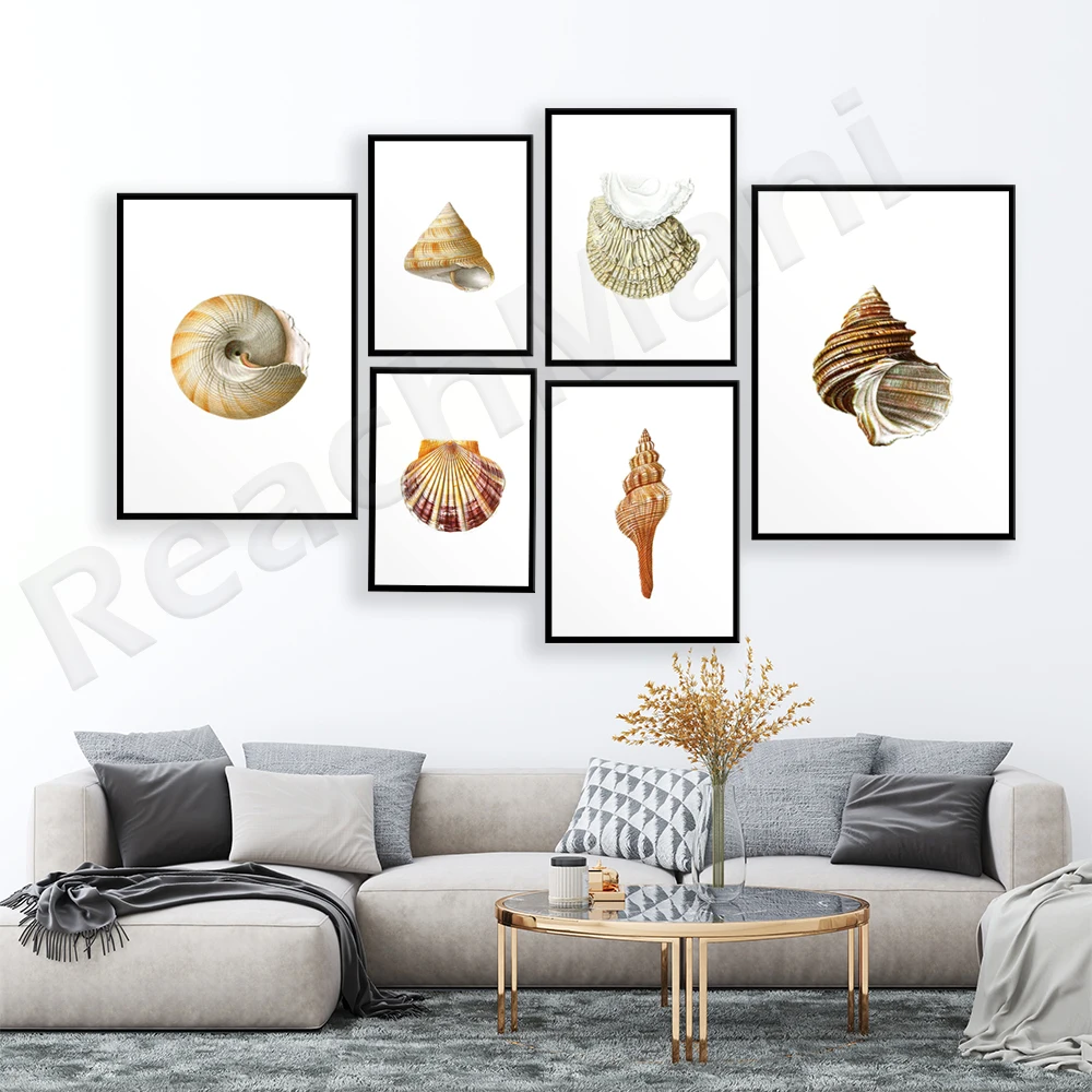 

Nautical shell print, bay scallops, snails, coastal wall art marine print shell poster