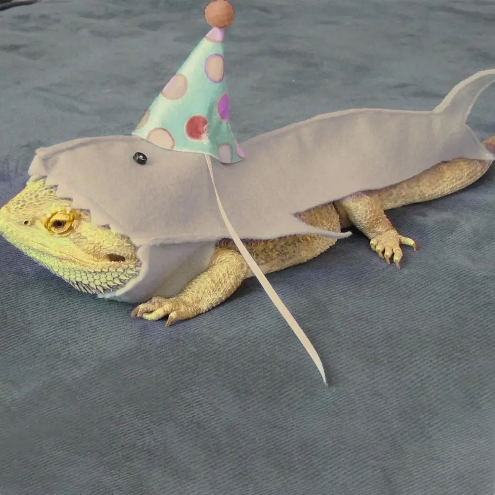 Rettile Critter Lucertola Squalo Costume Per Drago Barbue Rettili Vestiti Lucertola Squalo Vestiti Piccoli Vestiti Per Animali Domestici Gecko