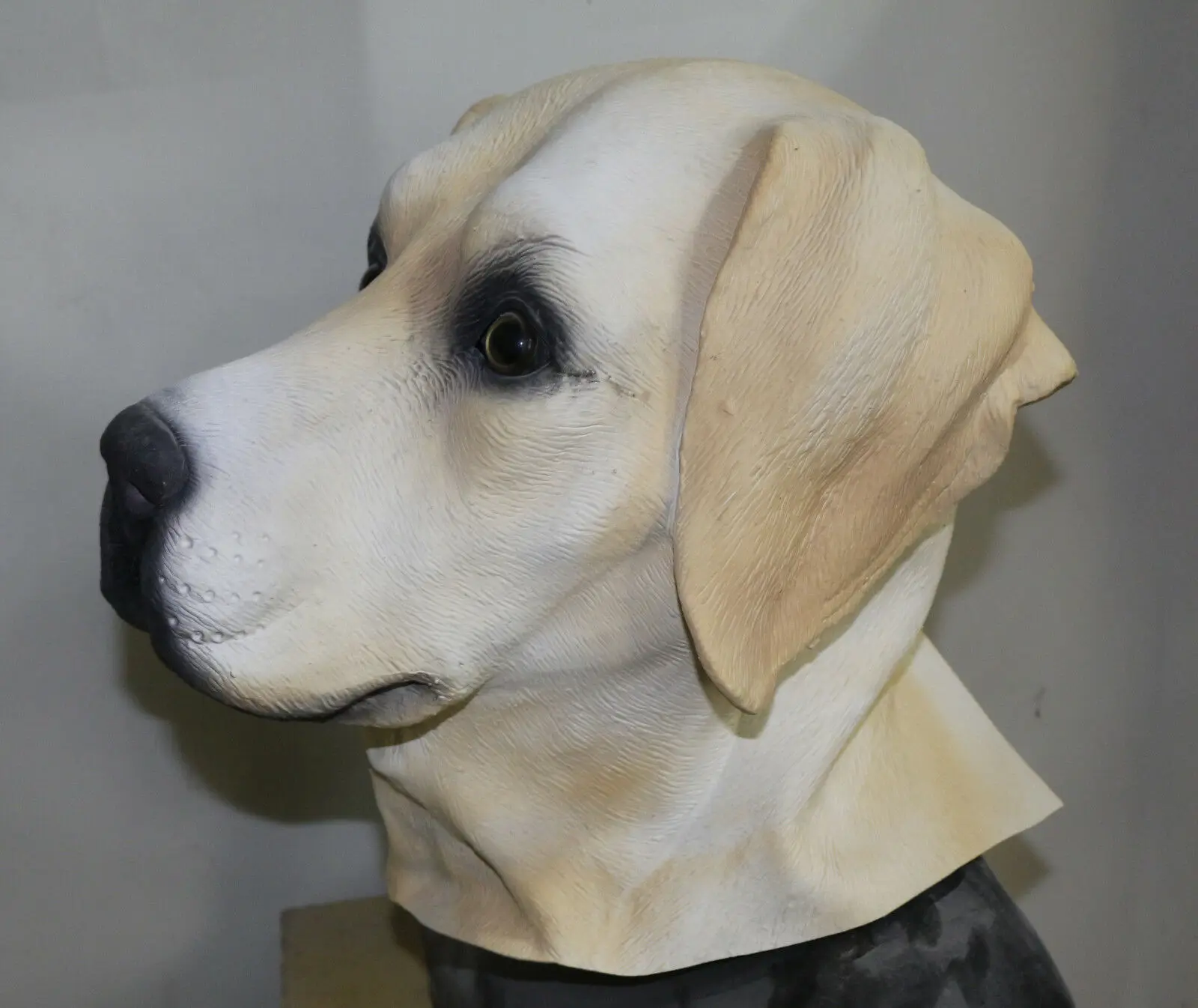 Máscara de látex de cabeza completa para perro Labrador, máscaras de animales caninos de lujo, disfraz de vestido de lujo