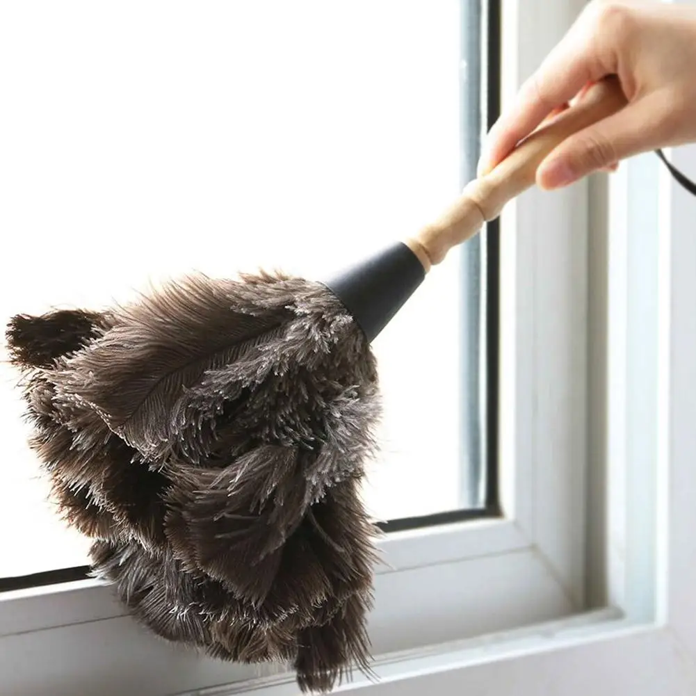 The Truth About the Ostrich Feather Dusting Stick: What It Really Doesand Doesn’t Do