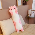 gato rosa