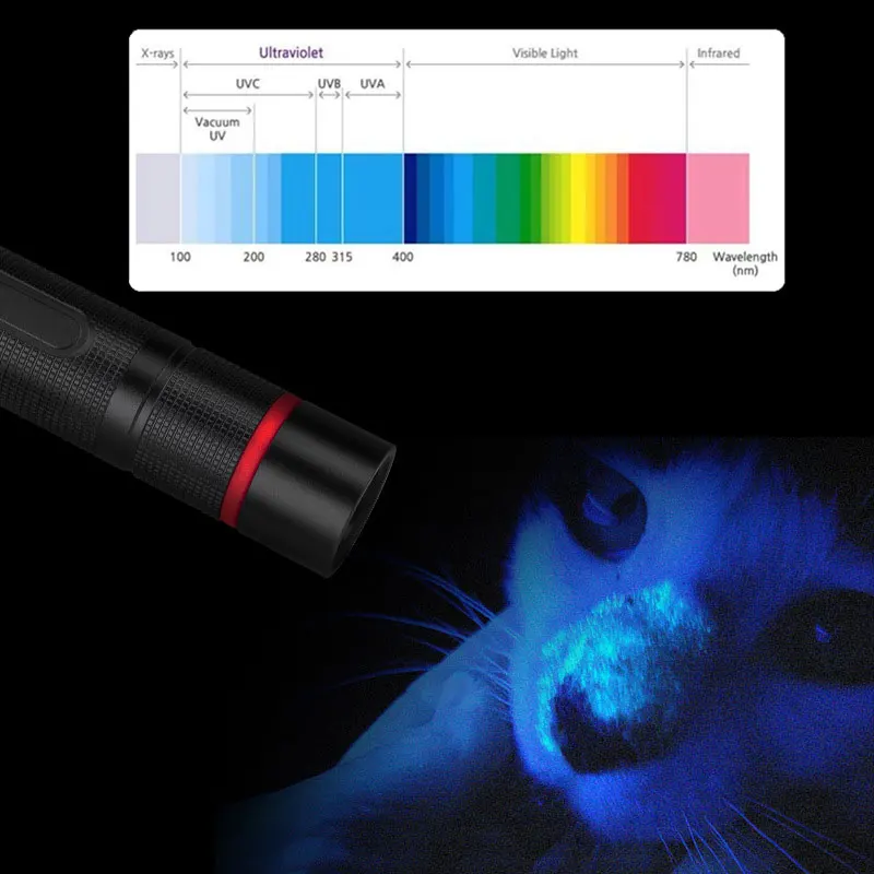 TMWT Custom Logo Waterproof USB fast charging Ultraviolet Torch Light 365nm 5W LED UV Flashlights For Amber Scorpion Detector