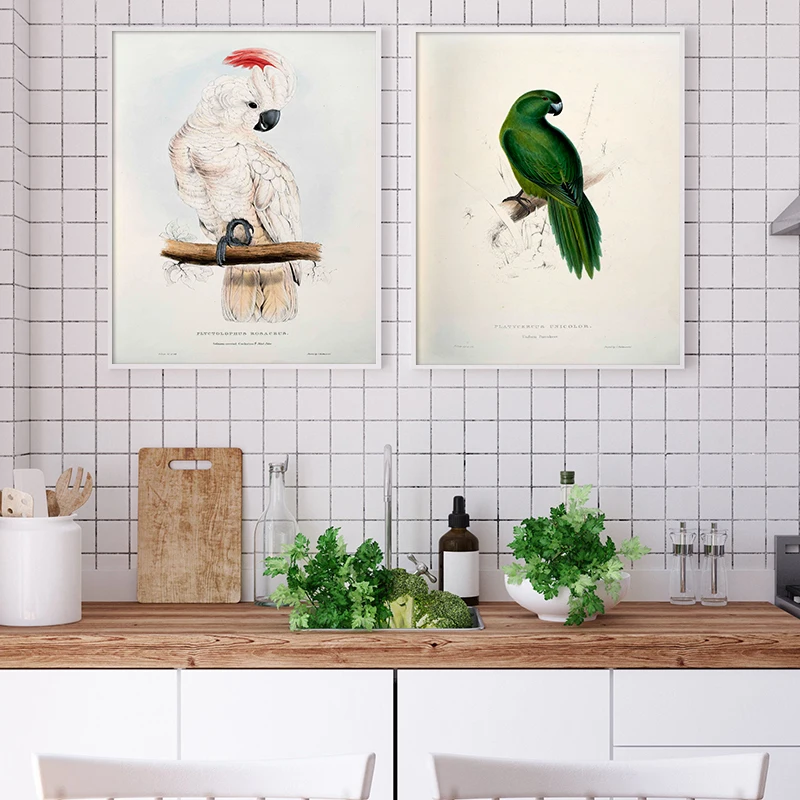 Antique Bird Vintage Poster Print Kind Pink Flamingo Nature Education Wall Art Canvas Painting Picture Kids Room Home Wall Decor