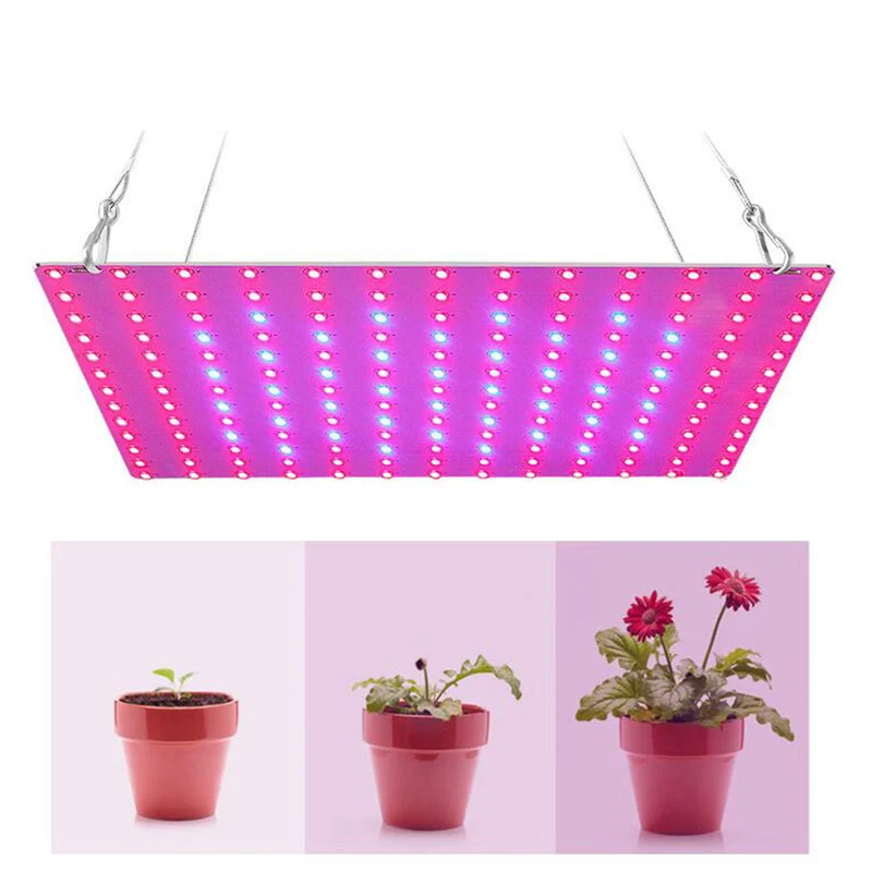 Luz LED para cultivo de plantas, lámpara de Panel para cultivo de flores, fitoamplificador para crecimiento de espectro completo, hidropónico para