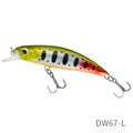 L 12pcs dw67