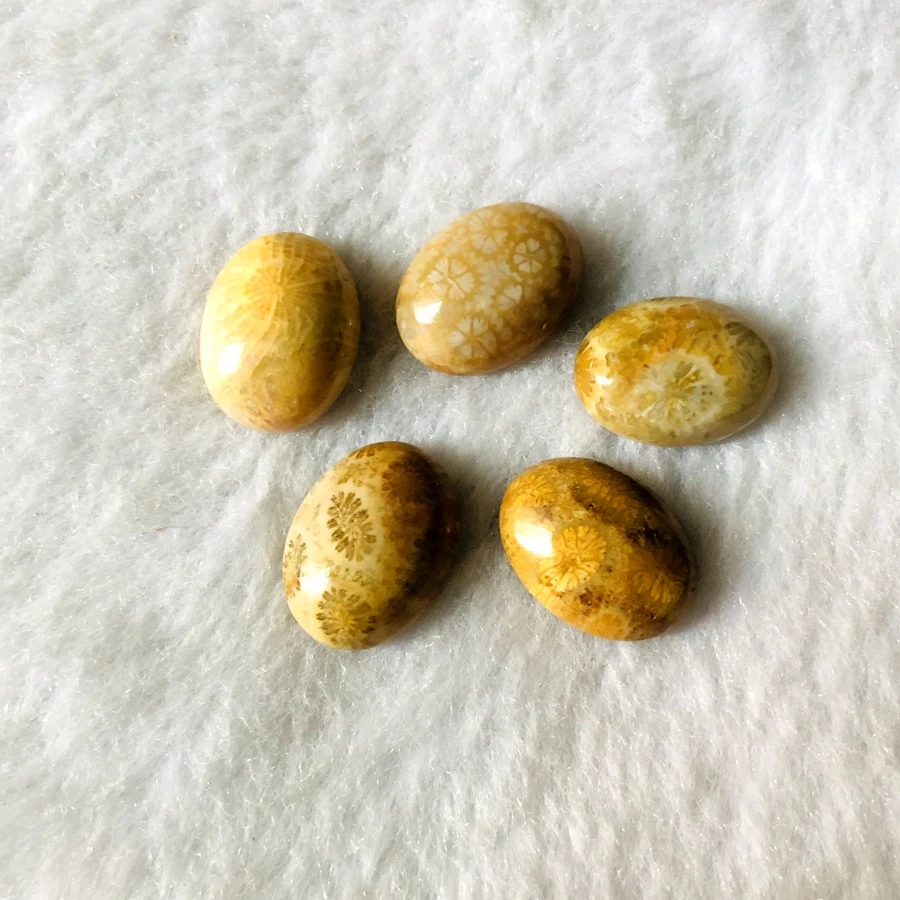 Wholesale 2pcs/lot Coral Fossils Jasper Bead cabochon,12x16mm 15x20mm Oval Gem stone Bead Cabochon Ring Face