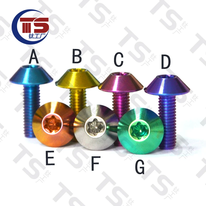 TS Titanium Bolt M5 x 15mm Hexagon Socket Screws Umbrella Head for Bike Motorcycle Bolt Ti Fastener