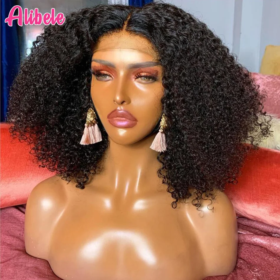 

Alibele Mogolian Afro Kinky Curly Lace Front Парики из натуральных волос 150 Плотность 13x4 Вьющиеся человеческие волосы Кружевной фронтальный парик Длинные 10-24 дюйма