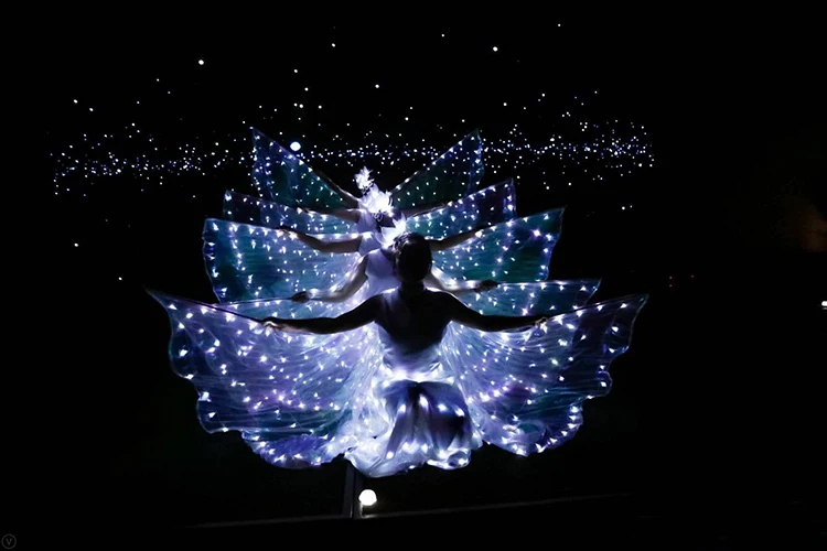 Belly Dance Led Isis Wings with Adjustable Sticks Accessories Stage Performance Props Shining White Led Wings 360 Degrees