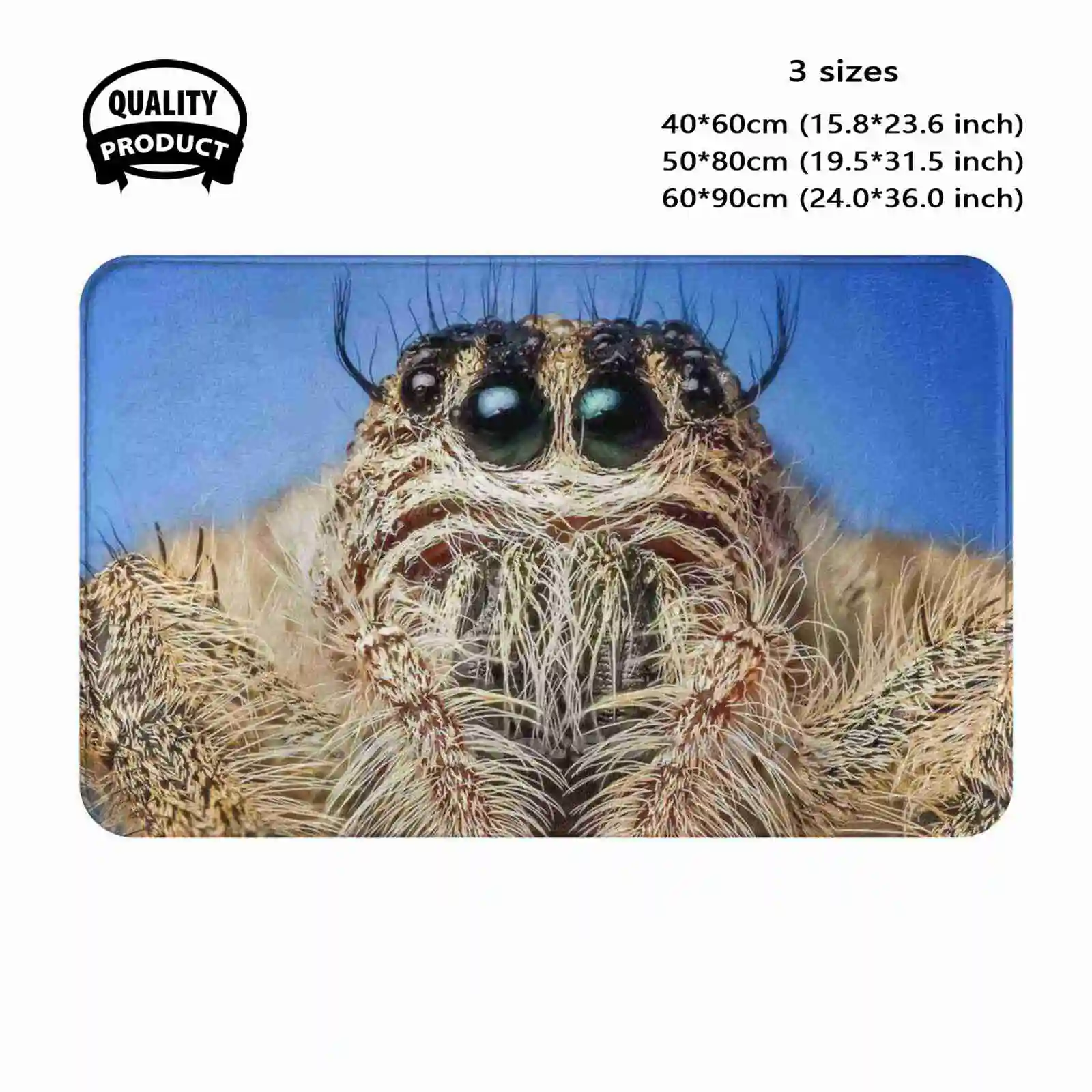 Spider Soft Cushion Home Carpet Door Mat Car Rug Spiders Arachnophobia Arachnid Tarantula