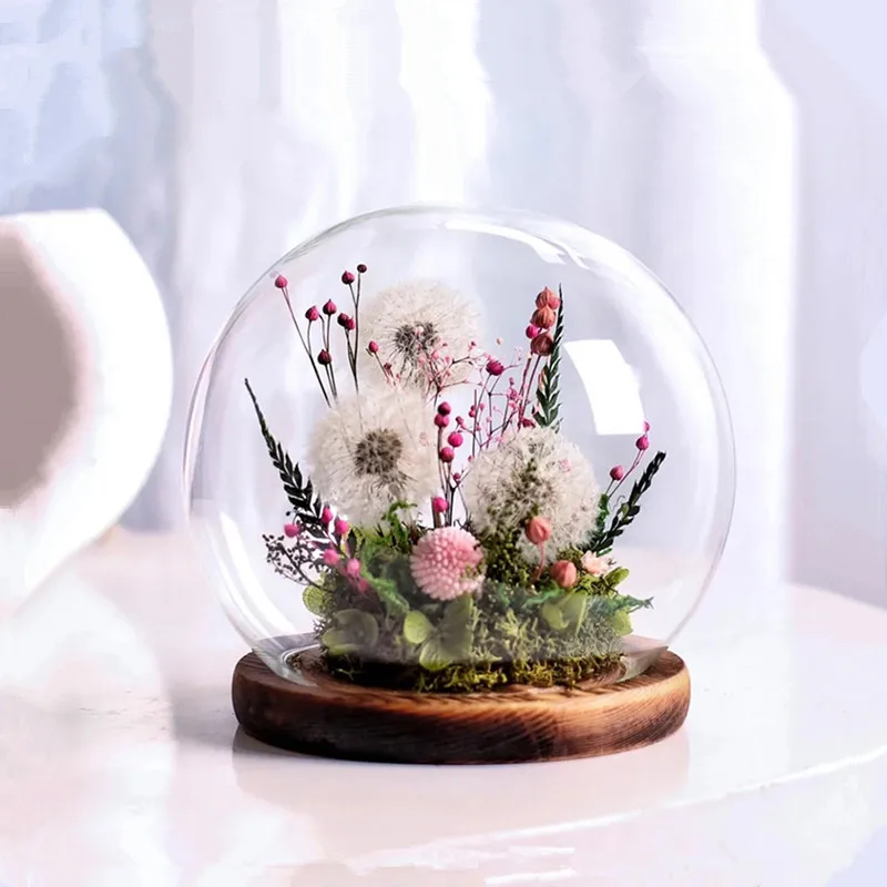 Diameter=25cm Big Size Round Shaped Glass Dome Vase Home Decoration Different Base Cover DIY Birthday Gift Wedding Souvenir