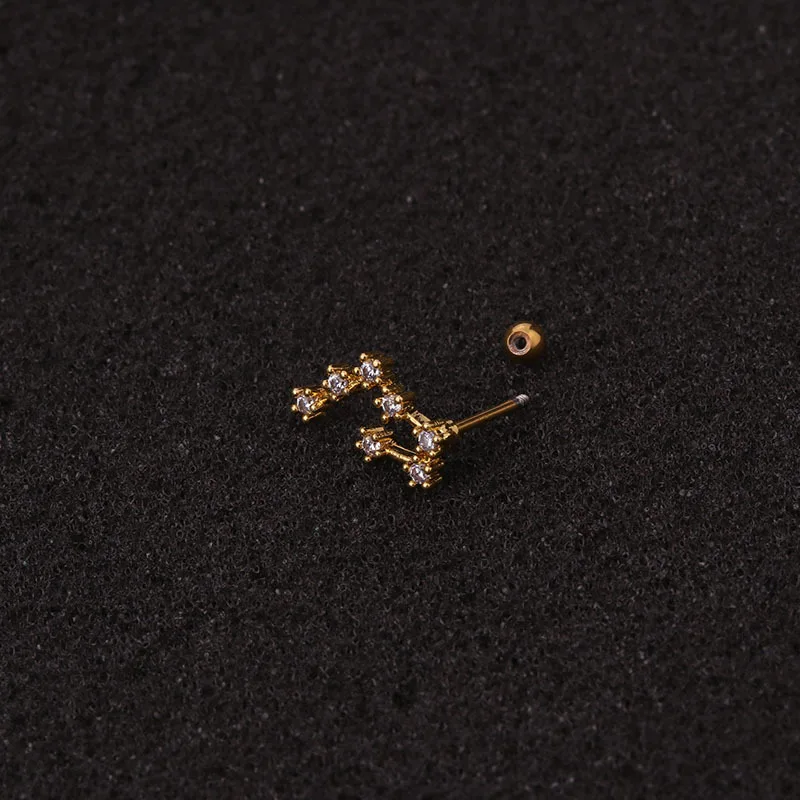 1Pc Stainless Steel Twelve Constellation Ear Piercing Jewelry for Women Cz Cartilage Helix Lobe Screw Back Stud Earrings