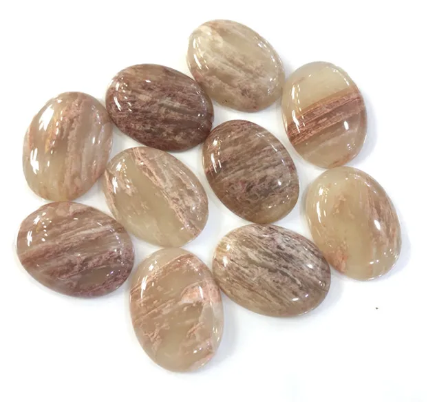 Natural Coral Fossil Gem Stone Cabochon 30x40mm Oval Semi Stone Cabochon 2pcs/lot Stone Pendant Face Wholesale Loose Bead