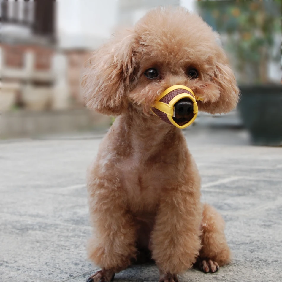 Bozal de perro cachorro pequeño mediano grande perro de cuero sintético de Nylon malla hocico de mascota bozal