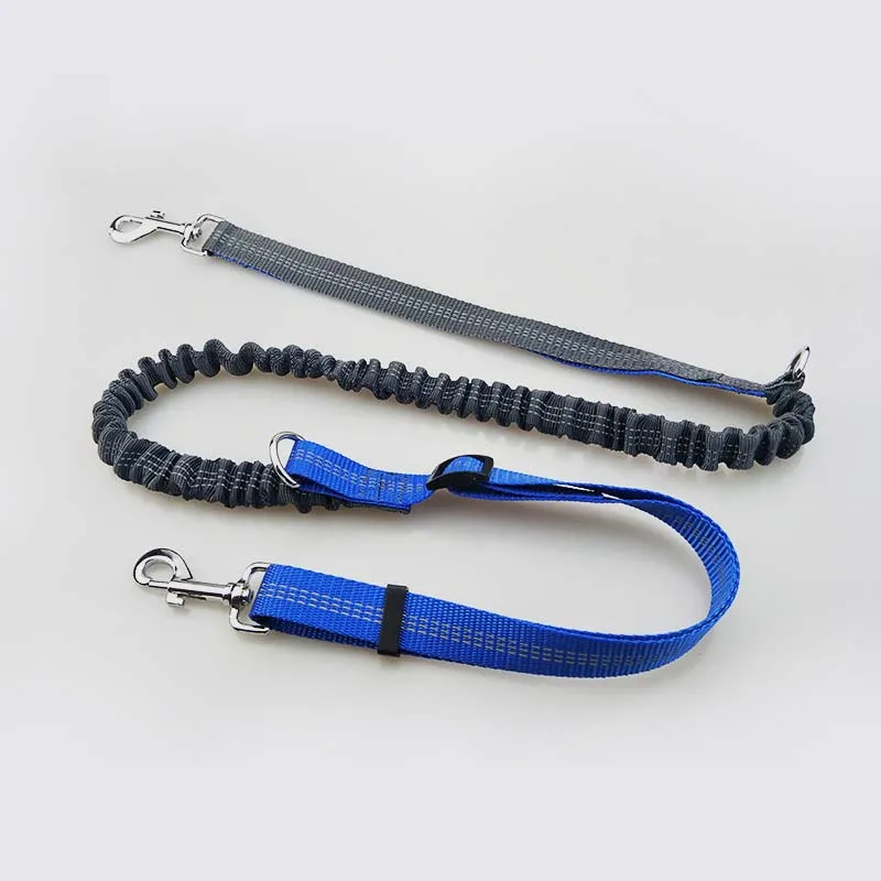 Laisse pour chien avec poches étanches à la taille, ceinture de coulée, collier élastique, UL, course, jogging, marche, fournitures pour animaux de