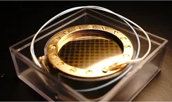 Edge terminated diaphragm microphone capsule for C12 dia. 34mm dual side large golden for Ck 12 with 3 wires