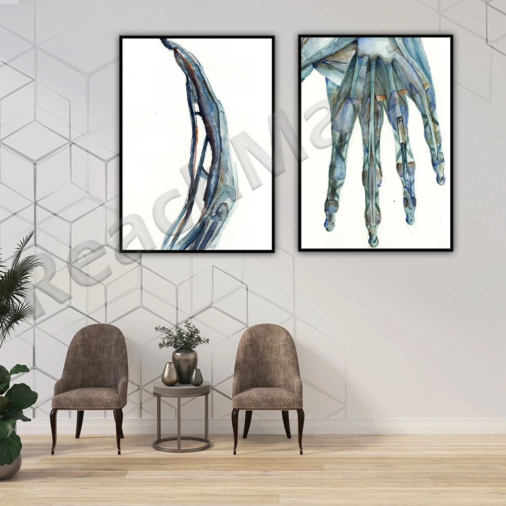 Hand Anatomy  Print Art  - Hand and Finger Watercolor Art Set - Abstract Anatomy Art