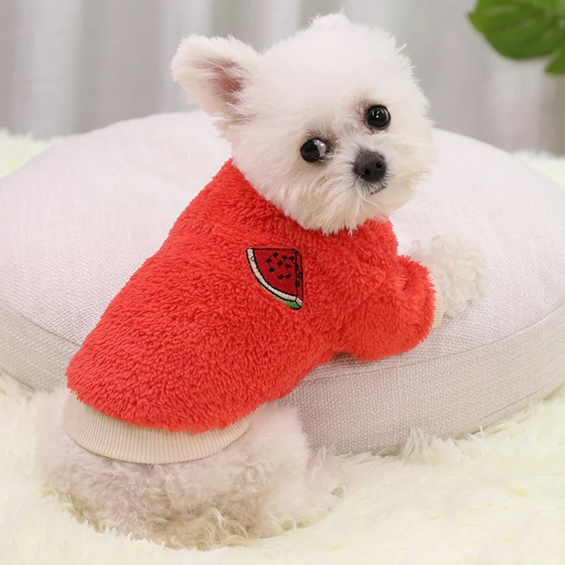 XS-2XL 4Color Avocado Watermelon Grape Orange Print Warm Dog Sweater Cute Yorkshire Terrier Teddy Cat Small Pet Winter Clothes