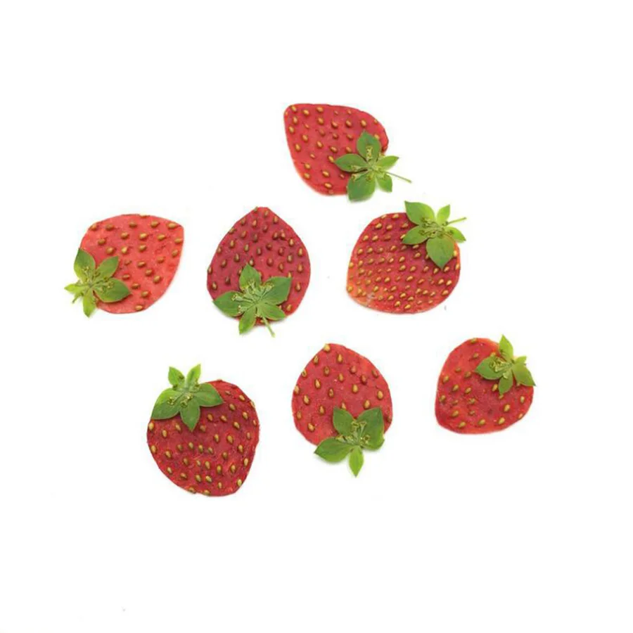 10pcs Dried Pressed Mini Fruit Strawberry Skin Slices  Epoxy Resin Jewelry Making Bookmark Phone case Face Makeup Nail Art DIY