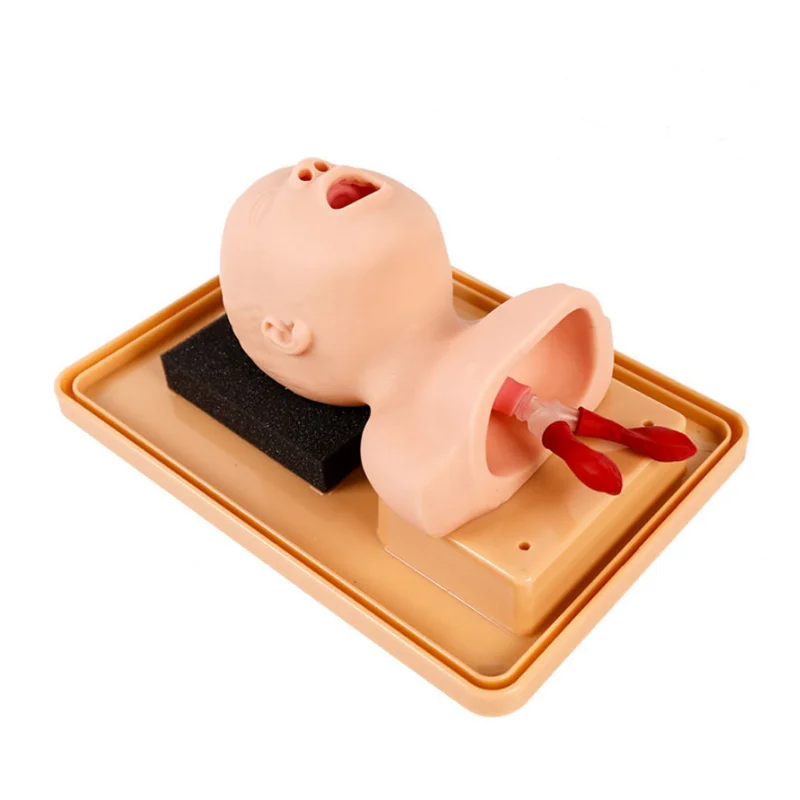 

BIX-J2A Medical School Training and High Quality Neonate Head for Trachea Intubation Model