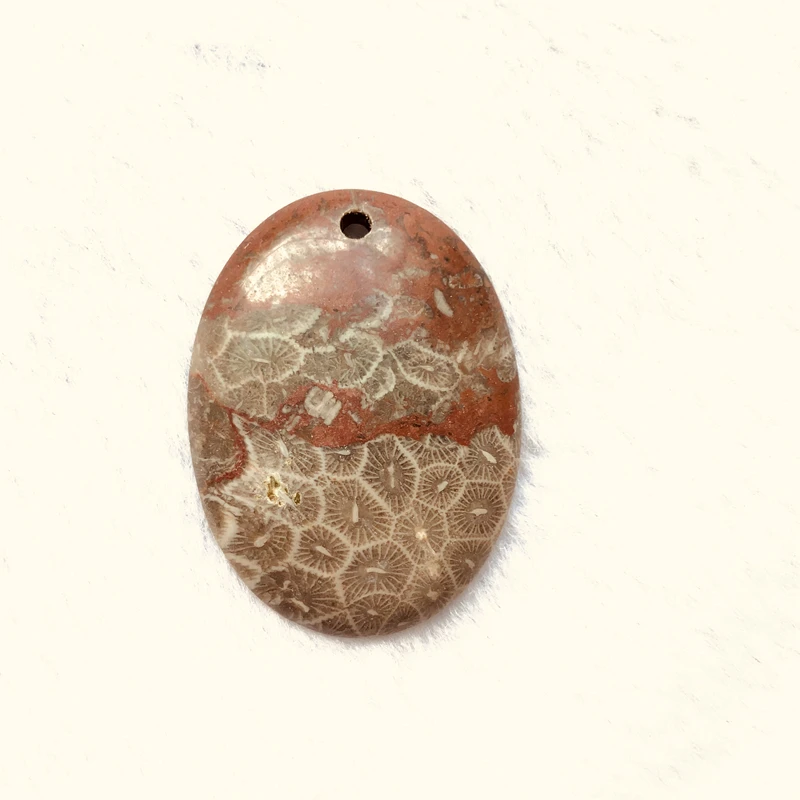 Wholesale 1pcs A Quality Coral Stone,Fossil Jasper Bead 30x40mm Oval Beads Cabochon Pendant,Oval Gem Cabochon For Jewelry making