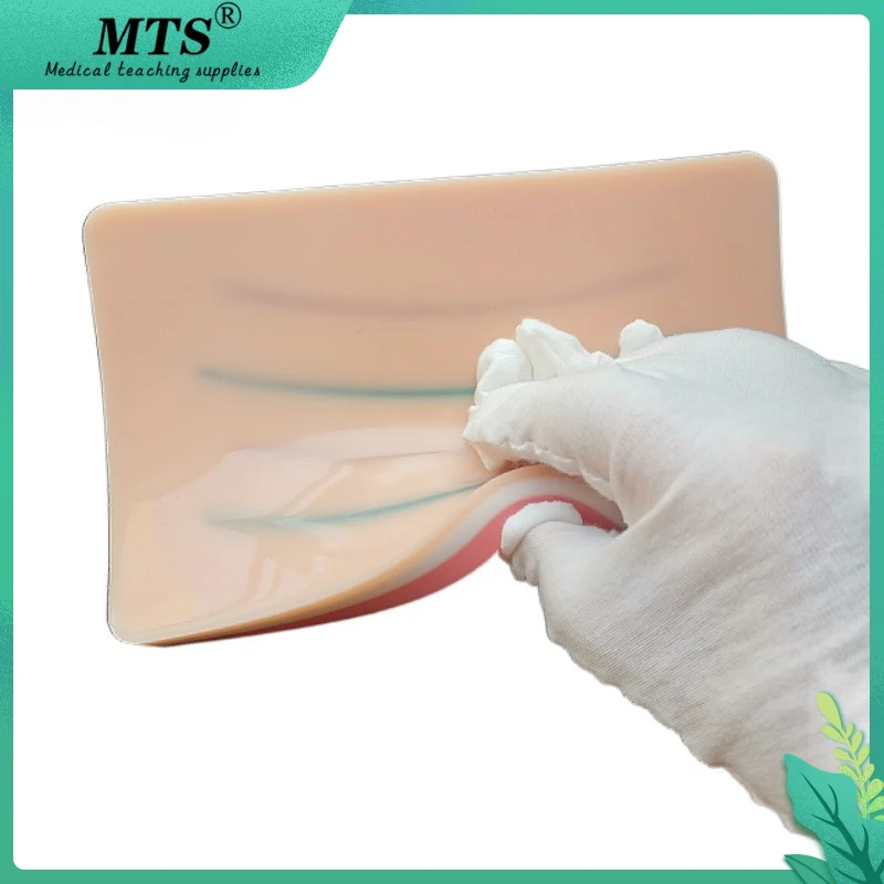 

МТС литья под давлением модель обучения для кормления профессиональной подготовки внутривенного введения Тренировочный Коврик с кровеносных сосудов рану для практики наложения швов инструмент